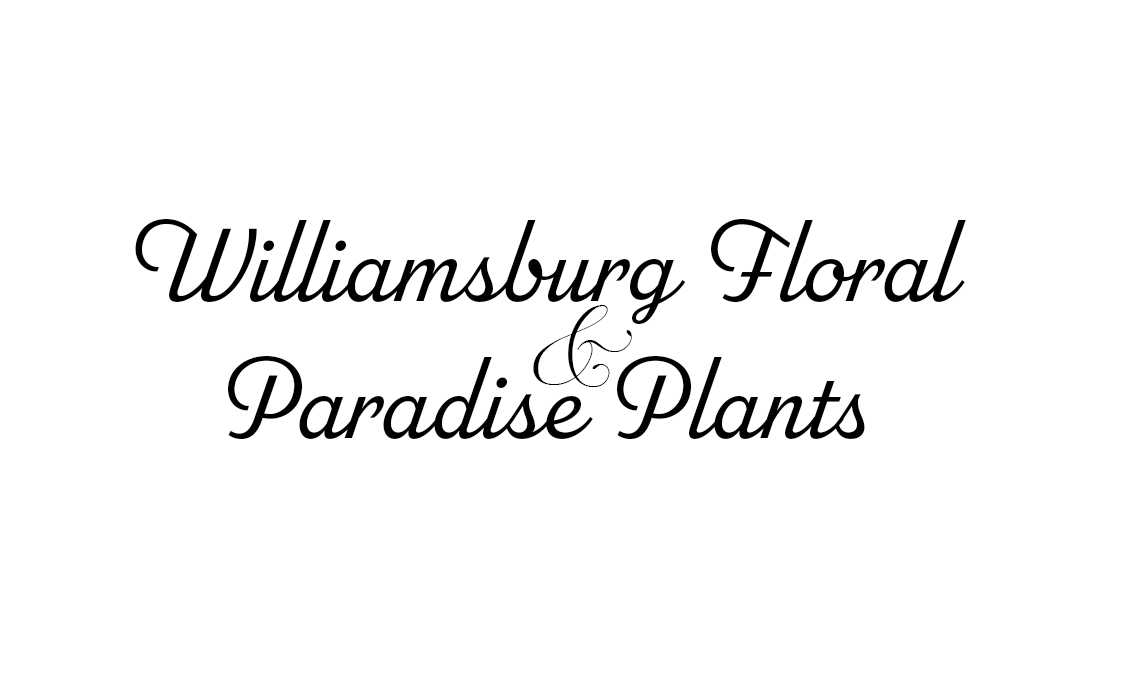 florists williamsburg va
